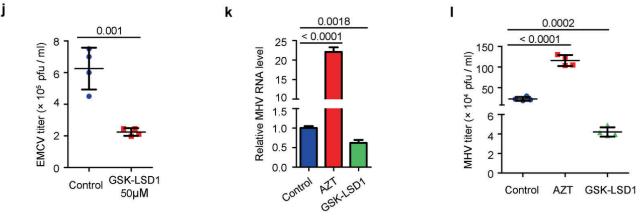 胚胎干细胞中内源性逆转录酶和核糖核酸酶介导的抗病毒机制