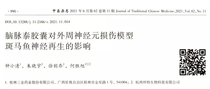脑脉泰胶囊对外周神经元损伤模型斑马鱼神经再生的影响丨环特生物斑马鱼研究