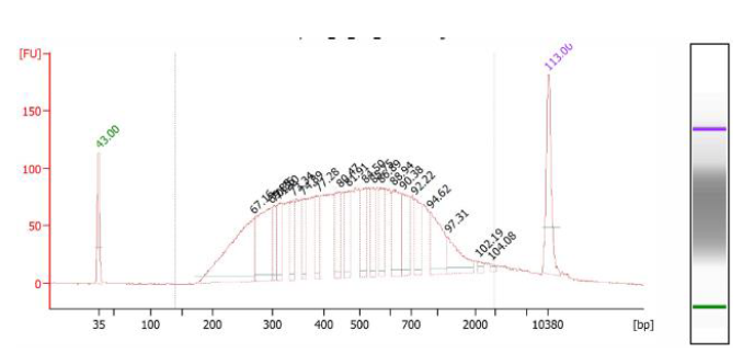 为度生物 CleanNGS 应用于 NGS 文库制备和片段筛选应用分享