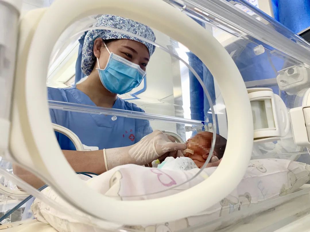 河套微传媒：大年初一喜得三胞胎，巴彦淖尔市医院的虎宝宝争相来报到！