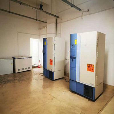 天青石蓝B染色液