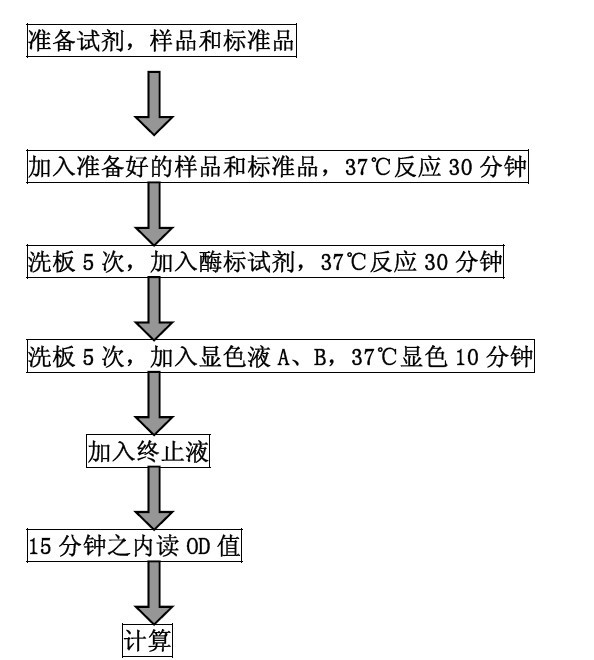 产品细节图片3