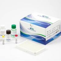 糖类抗原（CA-125）检测试剂盒（酶联免疫法）