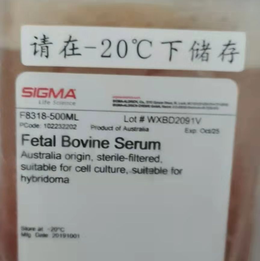 Fetal Bovine Serum  F8318-500ML