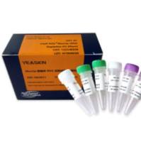 Hieff NGS®MaxUp核糖体RNA去除试剂盒(植物)