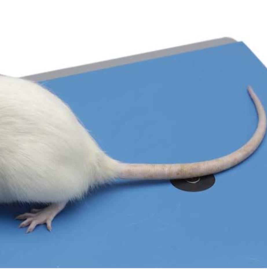 甩尾测痛仪37360