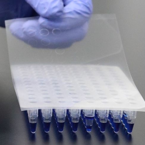 Cellpro赛普PCR封板膜，压敏透明，盒装