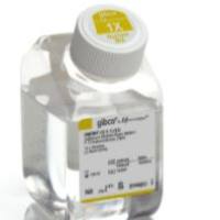 DMEM/F-12，HEPES，不含酚红