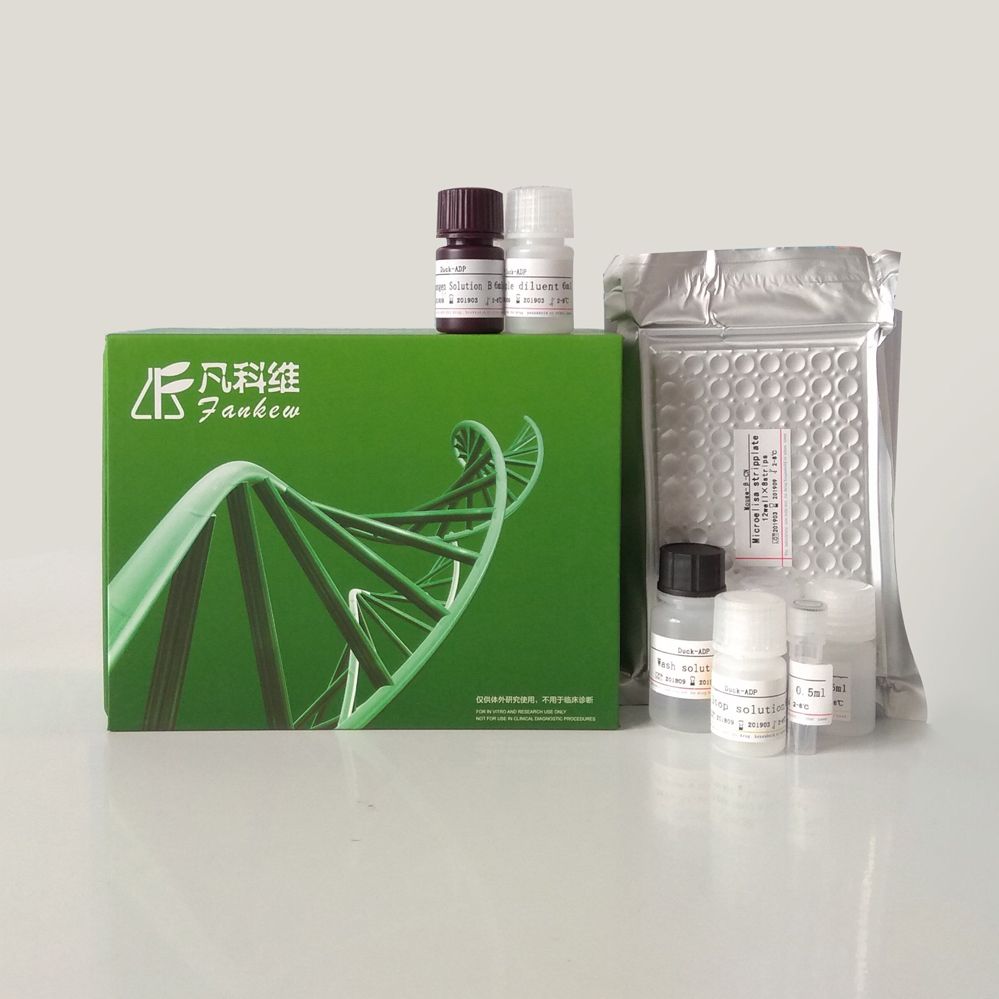 猪口蹄疫VP1结构蛋白(FMDV-VP1)ELISA试剂盒