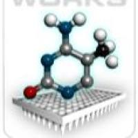 人铁死亡PCR 芯片