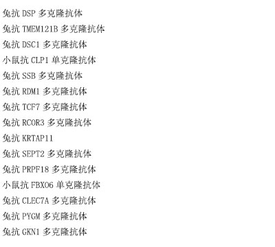 兔抗KLRC1多克隆抗体