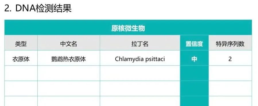 都是鹦鹉「惹的祸」！26 岁养鹦鹉女子因高烧不退住进了医院……