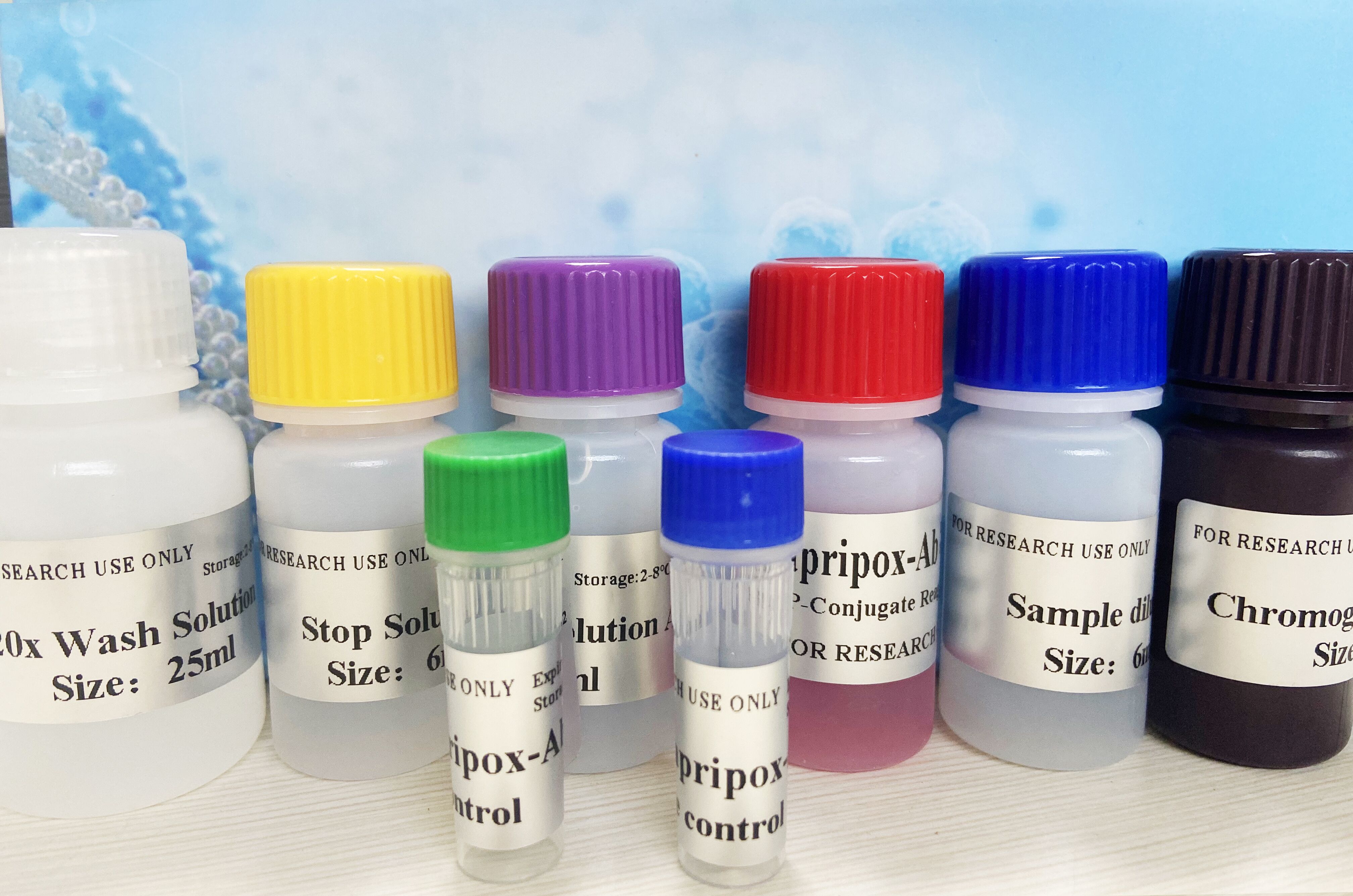 牛球蛋白(Globulin)酶联免疫分析试剂盒