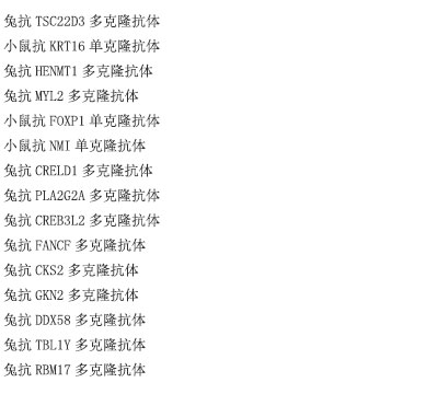 小鼠抗PCDH7单克隆抗体