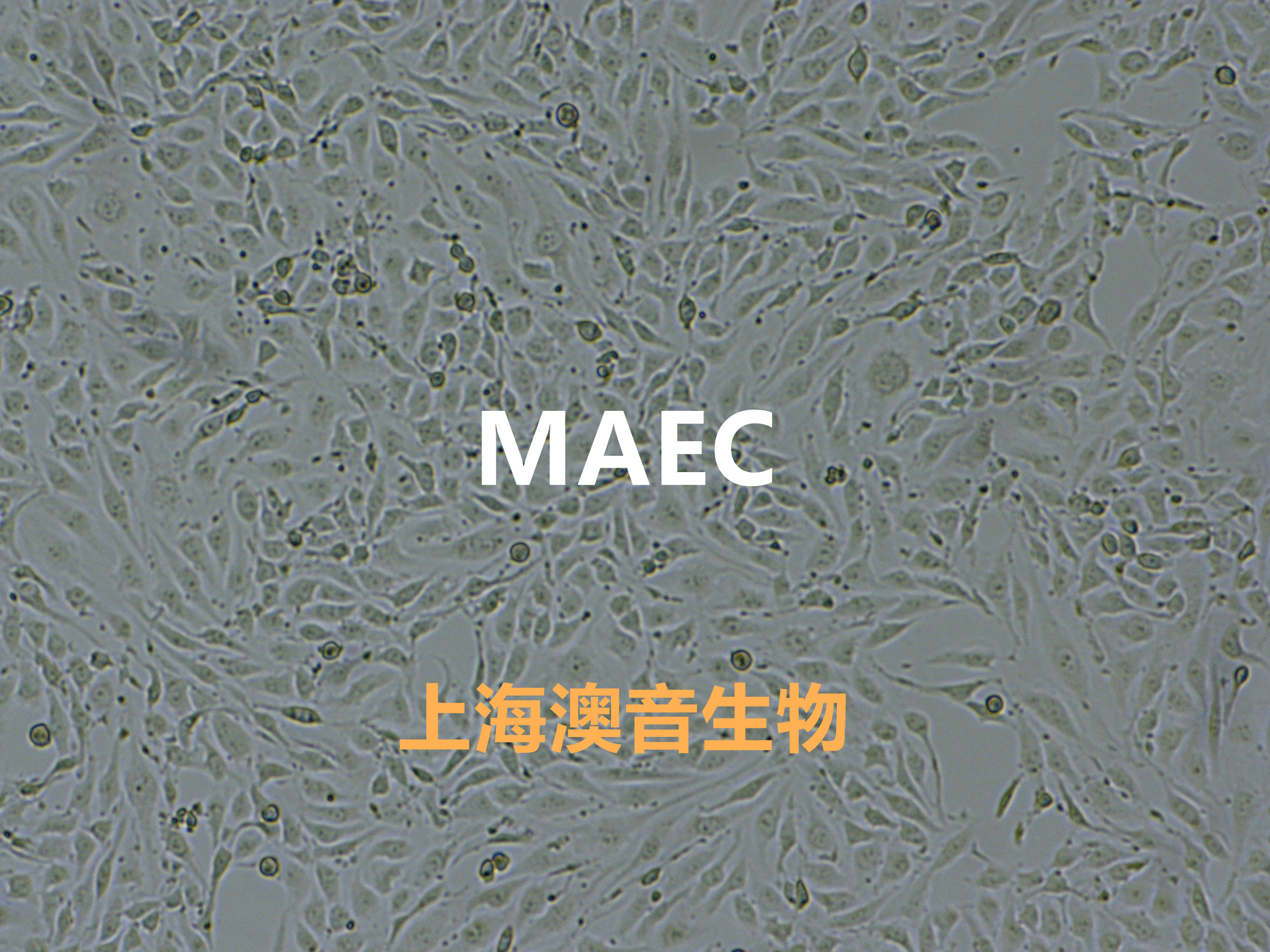 产品细节图片1