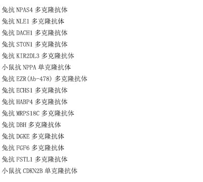 兔抗IGF2BP2多克隆抗体