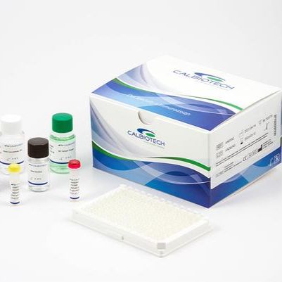 甲状腺过氧化物酶（TPO）抗体IgG检测试剂盒（酶联免疫法）