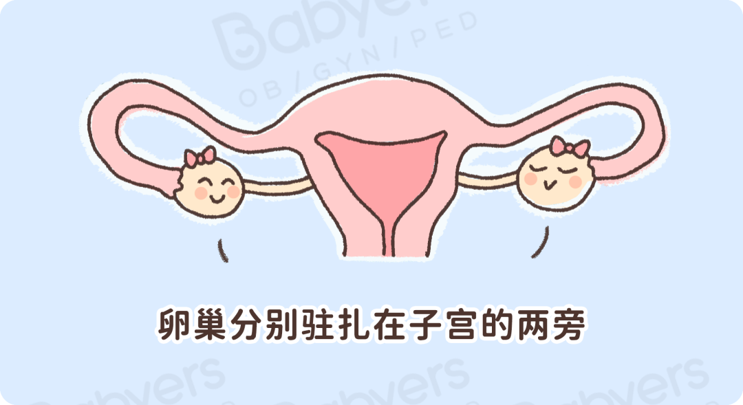 卵巢老 1 岁，女人就老 10 岁 ？8 个小细节需要注意！