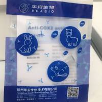 SuperSignal ECL Western Blotting Substrate