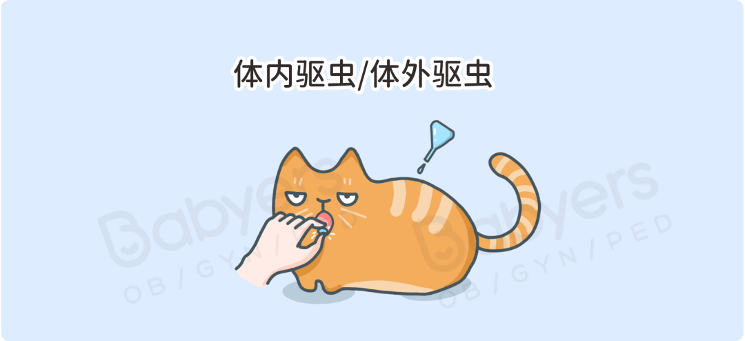 怀孕就要扔掉猫？杭州贝瑞斯美华妇儿提醒：这些谣言要破除！