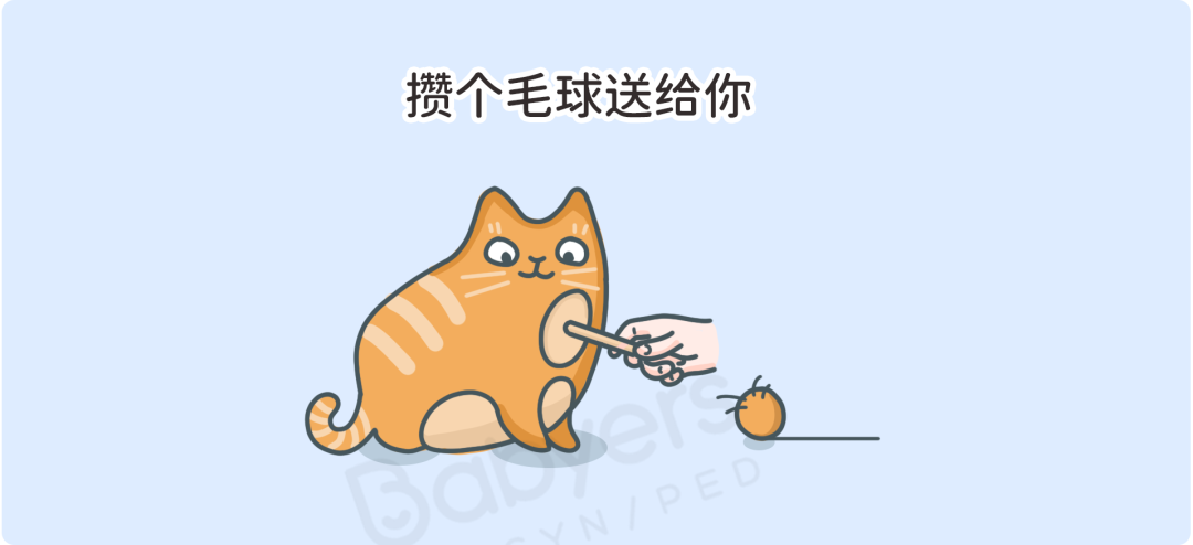 怀孕就要扔掉猫？杭州贝瑞斯美华妇儿提醒：这些谣言要破除！
