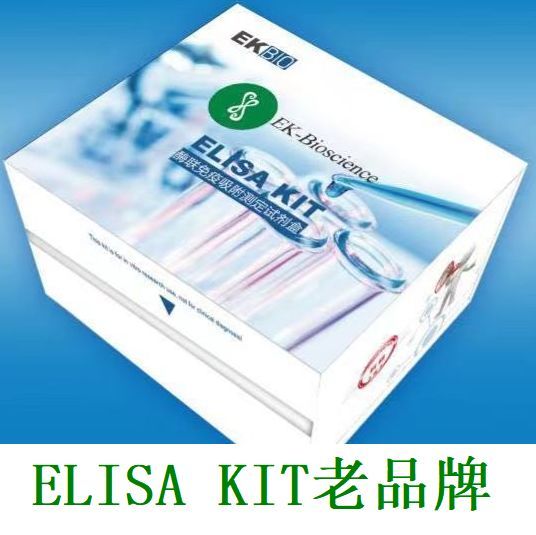 大鼠可溶性细胞因子受体(sCKR)ELISA试剂盒/大鼠可溶性细胞因子受体(sCKR)ELISA试剂盒