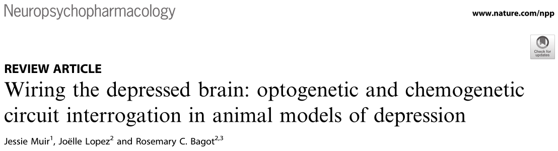神经精神药理学综述｜基于光遗传学和化学遗传学研究介导抑郁症的神经环路