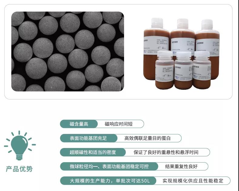 探索外泌体的分离与纯化，免费试用为度生物外泌体提取磁性微球