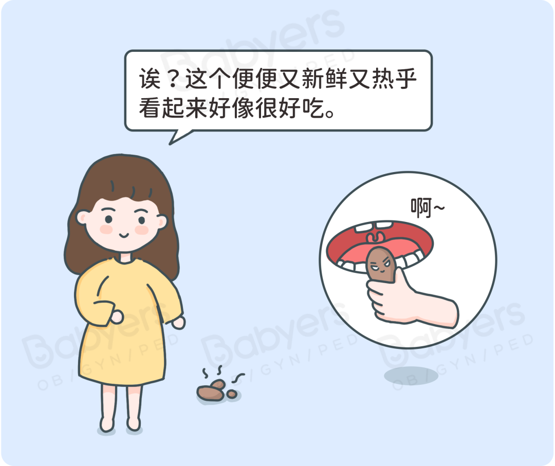 怀孕就要扔掉猫？杭州贝瑞斯美华妇儿提醒：这些谣言要破除！