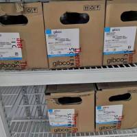 赖氨酸培养基基础