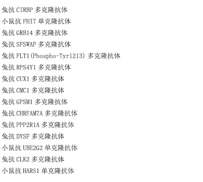 兔抗HDAC7多克隆抗体