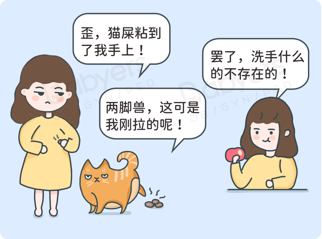 怀孕就要扔掉猫？杭州贝瑞斯美华妇儿提醒：这些谣言要破除！