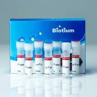 CF640R 驴抗小鼠 IgG(H+L), 高度交叉吸附, 2 mg/mL 20177