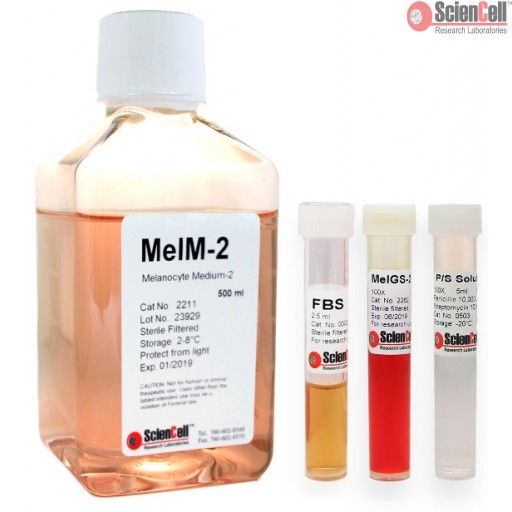 ScienCell 黑色素细胞培养基-2MelM-2（货号2211）