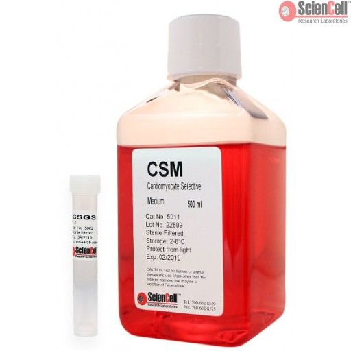 ScienCell心肌细胞选择性培养基CSM（货号5911）