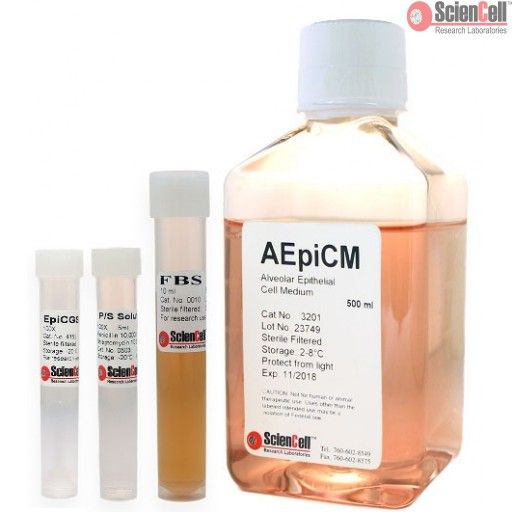 ScienCell肺泡上皮细胞培养基AEpiCM（货号3201）