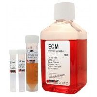 ScienCell内皮细胞培养基ECM（货号1001）