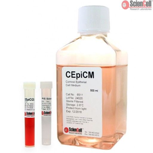 ScienCell 角膜上皮细胞培养基CEpiCM（货号6511）