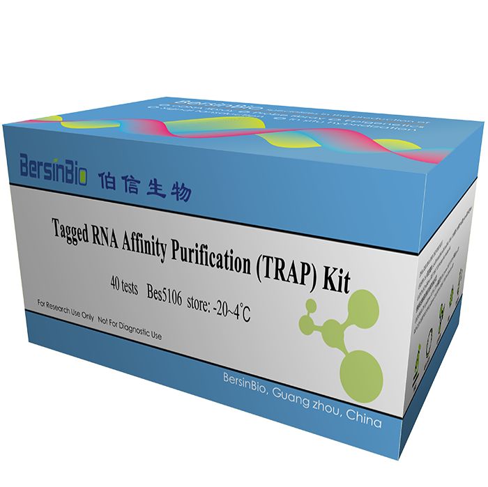 TRAP试剂盒（TRAP Kit，12T）