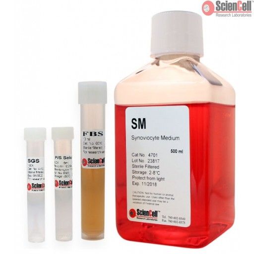 ScienCell滑膜细胞培养基SM（货号4701）