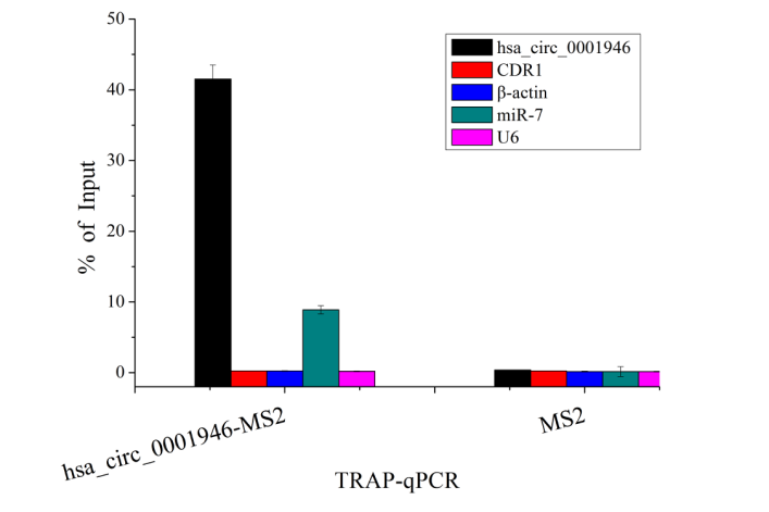TRAP试剂盒（TRAP Kit，12T）