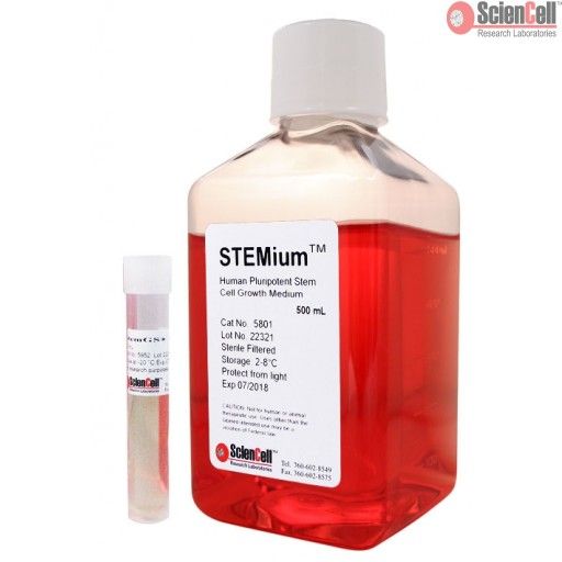 ScienCell人胚胎干细胞无血清培养基STEMium（货号5801）