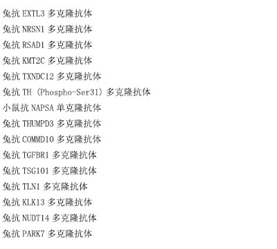 小鼠抗PPP2R1B单克隆抗体