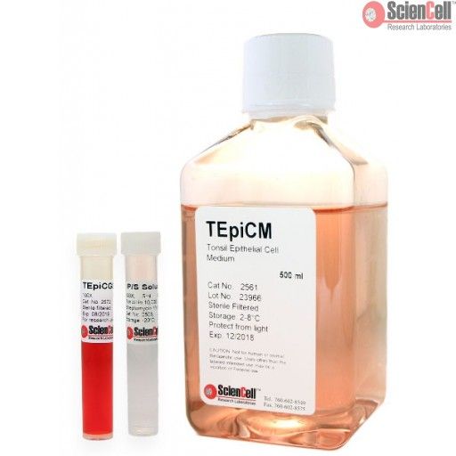 ScienCell扁桃体上皮细胞培养基TEpiCM（货号2561）