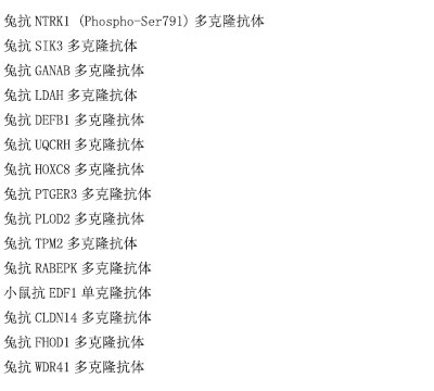 兔抗HNRNPLL多克隆抗体