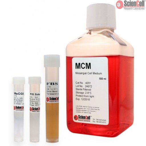 ScienCell肾系膜细胞培养基MCM（货号4201）