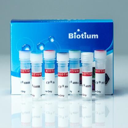 Biotin 山羊抗兔 IgG(H+L),高度交叉吸附，2 mg/mL