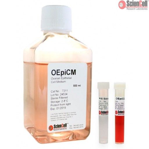 ScienCell 卵巢上皮细胞培养基OEpiCM（货号7311）