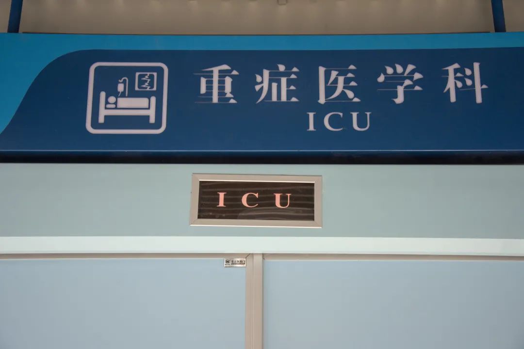 2021 年，我看过最好的故事都在这里了