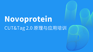 丁香实验推荐阅读